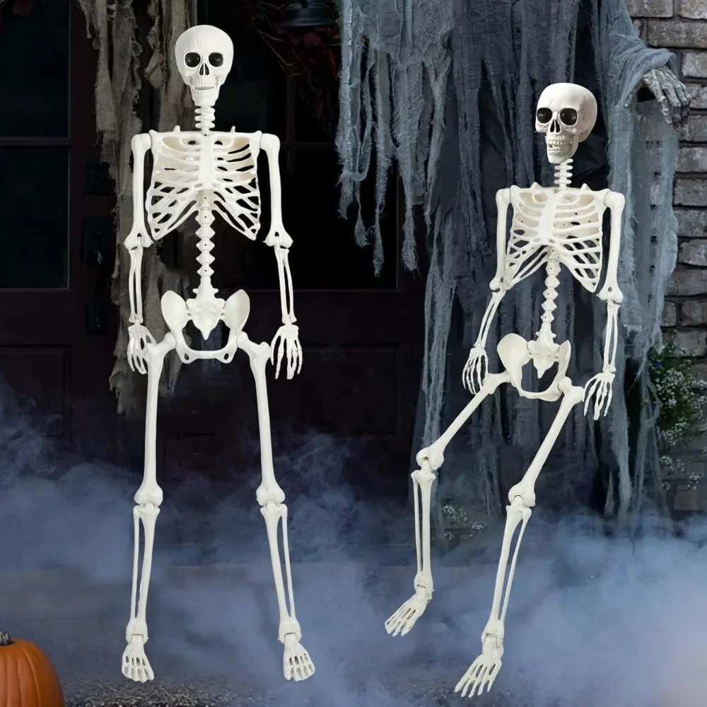 

Life Size Posable Halloween Skeleton, Halloween Human/Dog Skeleton with Movable Joints, 5.4Ft Skeleton Prop Decoration