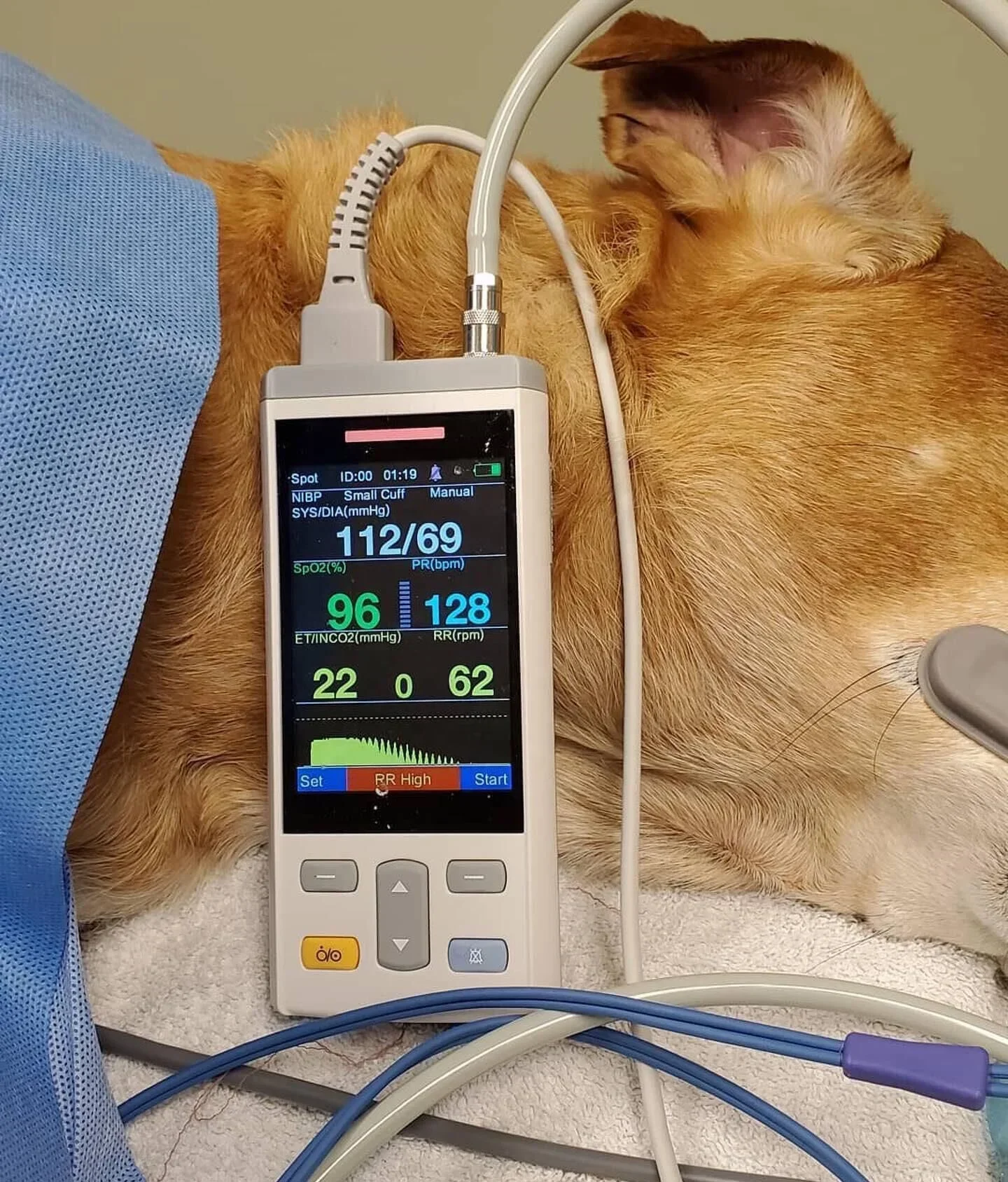 Pet Clinic Hospital PC100E Veterinary Vital Sign Multiparametro Veterinarios Veterinary Etco2 Vet