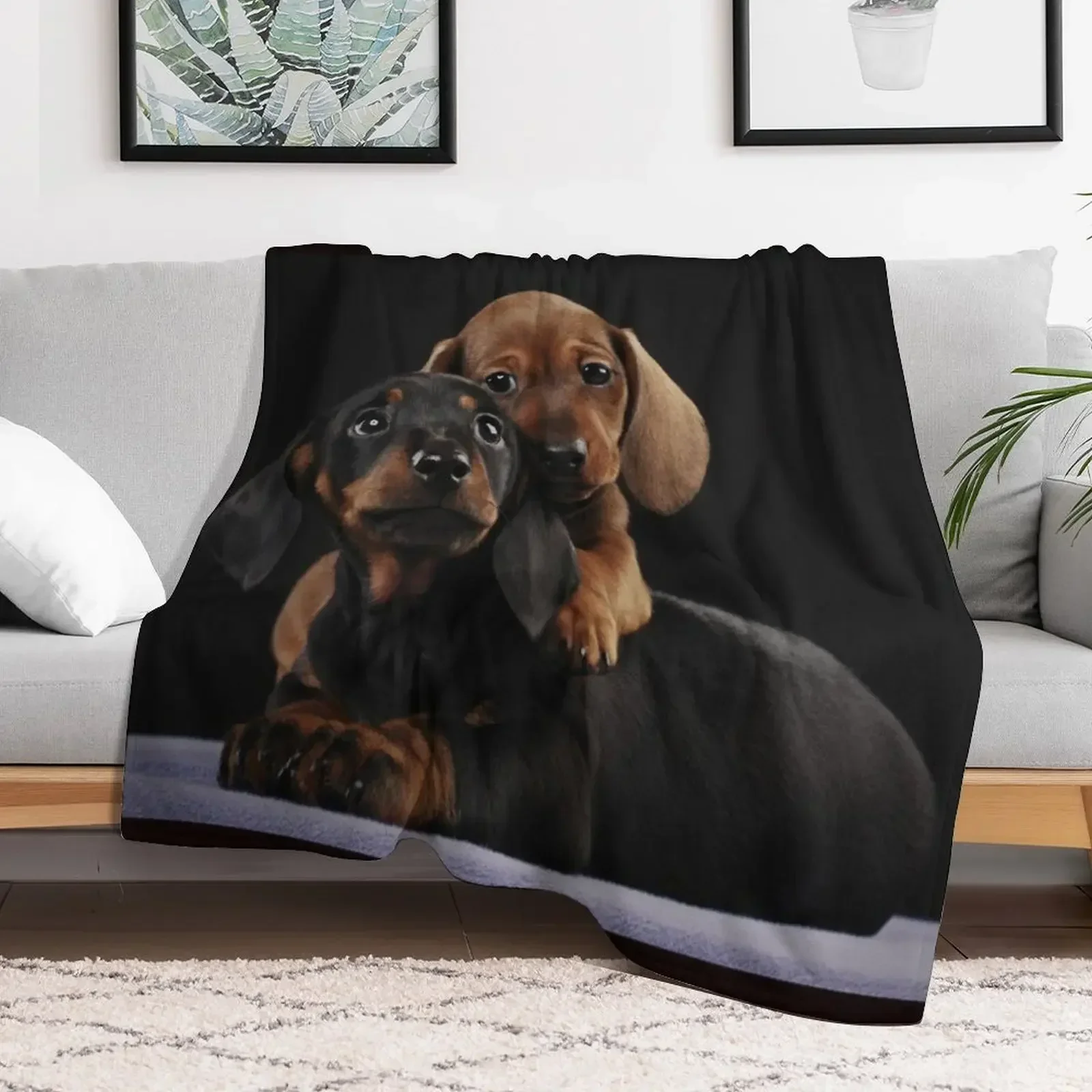 Dachshund Dog portrait photo pupies Throw Blanket Cute Moving Sofa Quilt Luxury Thicken Blankets