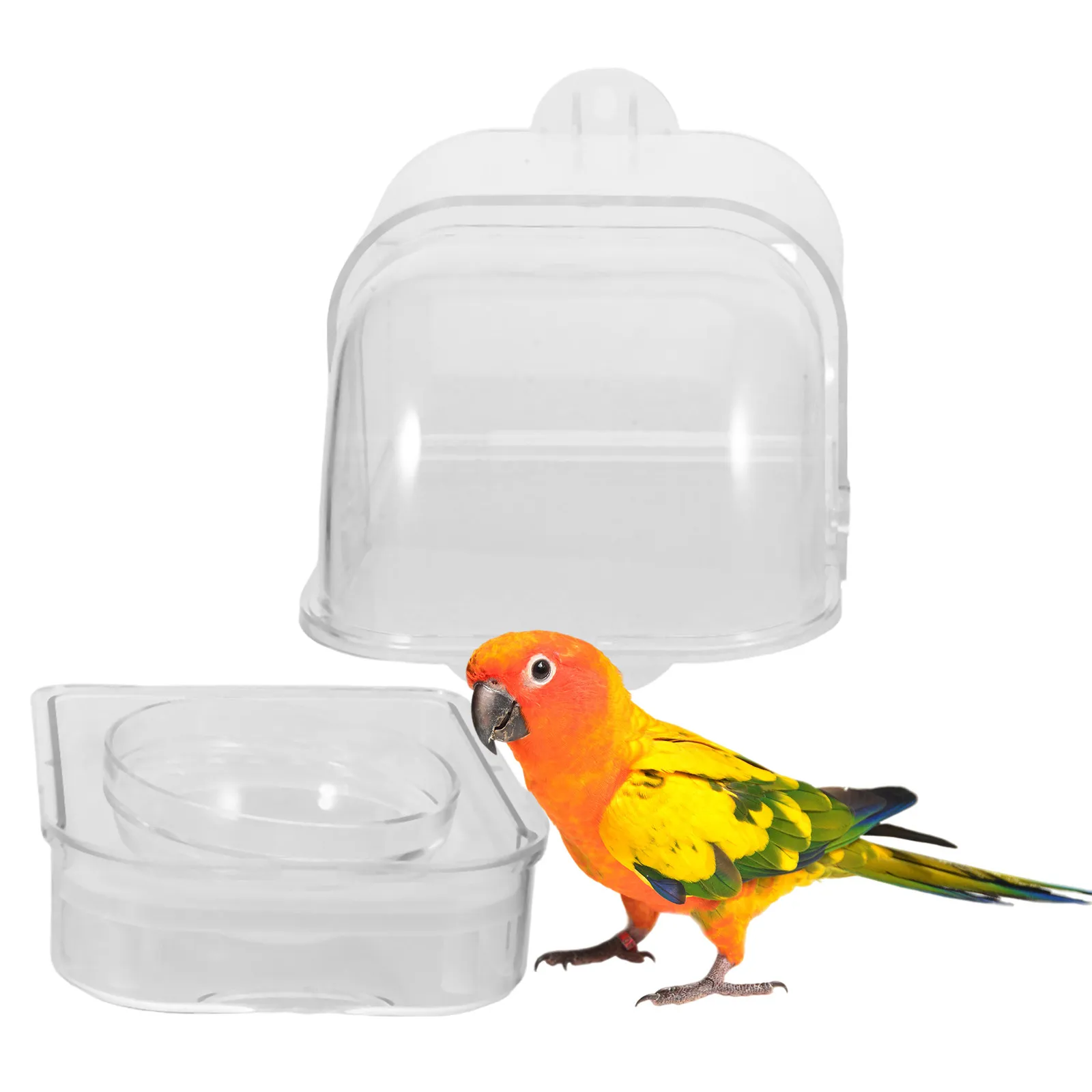 Automatic Parrot Feeder Large Capacity Spill-Proof Shell Separation Transparent Food Storage Container