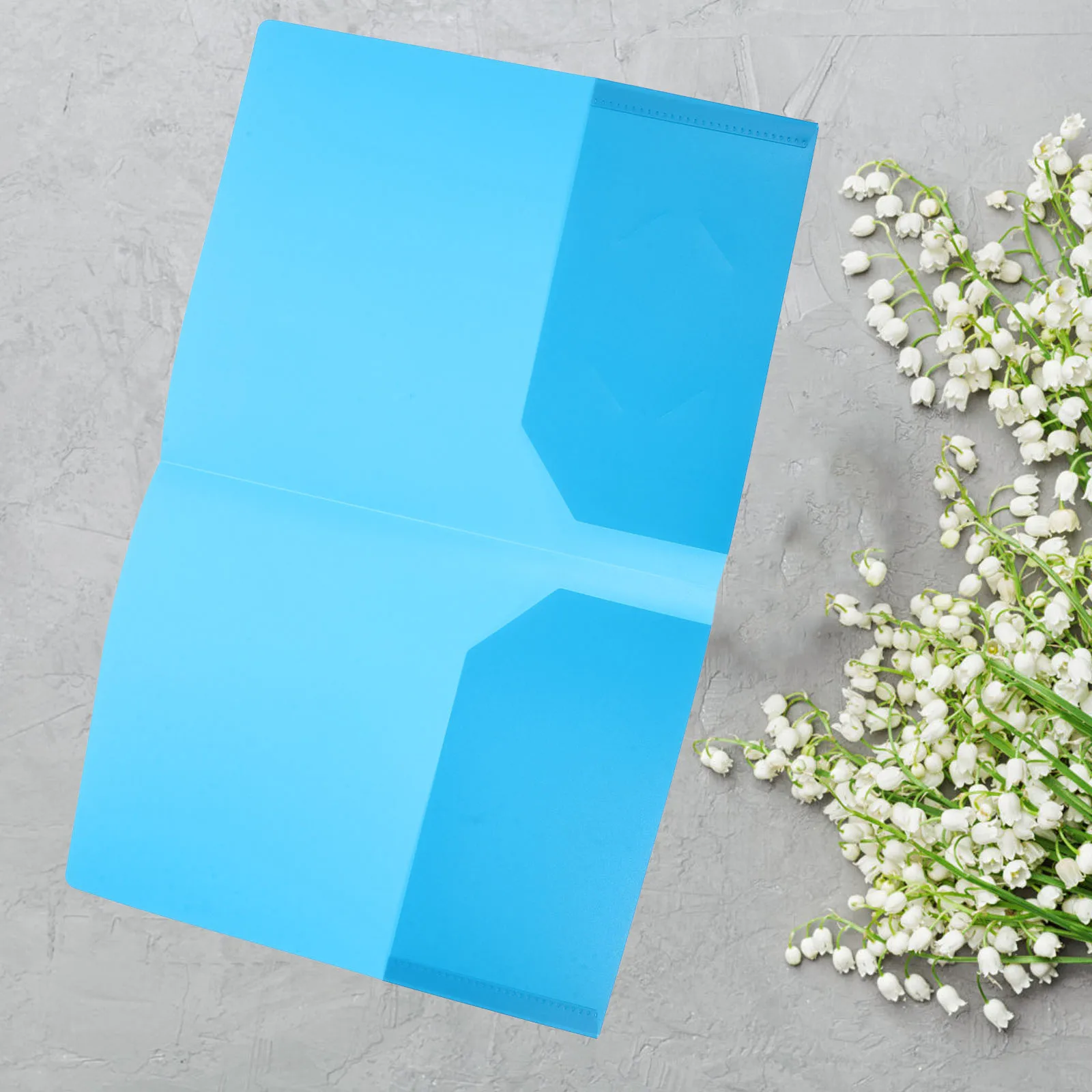 

6pcs A4 Folders Plastic Two Pocket File Folder Business Presentation Document Storage Pp Material Protective Design Home Office