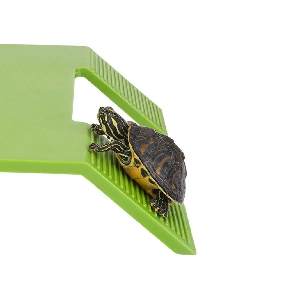 

Plastic Turtle Basking Platform with Suction Cup Green Turtle Climbing Platform Double Ladder Turtle Floating Ramp