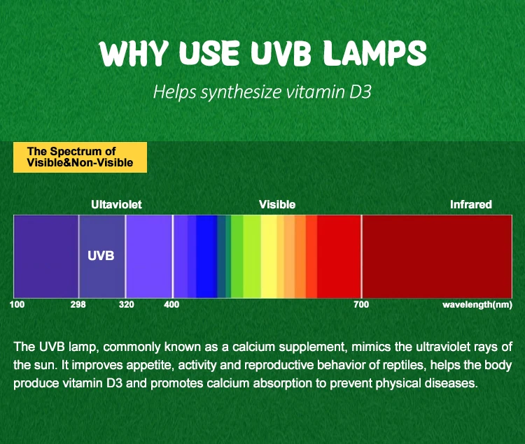LUCKY HERP Lampadina UVA UVB per uccelli 2.4 UVB 20W Lampada fluorescente compatta per tutti i tipi di uccelli in cattività