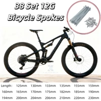 X Autohaux acero al carbono galvanizado 38 juegos 12G radios de bicicleta 175mm 182mm 185mm 190mm 194mm 200mm 204mm 206mm 210mm 220mm 230mm