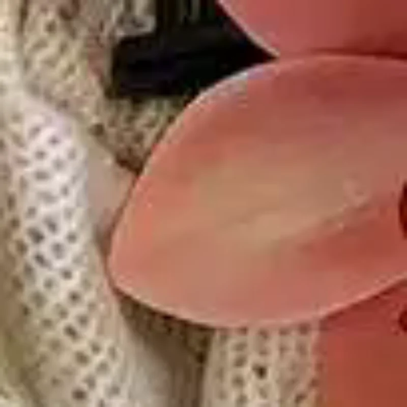 جديد زهرة مخلب شعر للنساء موضة خفيفة مقاطع جانبية فاخرة الفرنسية أنيقة مزاجه رئيس الملحقات #1