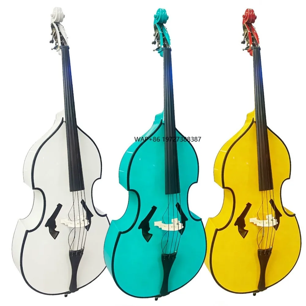 

Trusted 4/4-1/10 Practice Upright Bass for Orchestra Enthusiasts Maple and Spruce Wood Unique Design