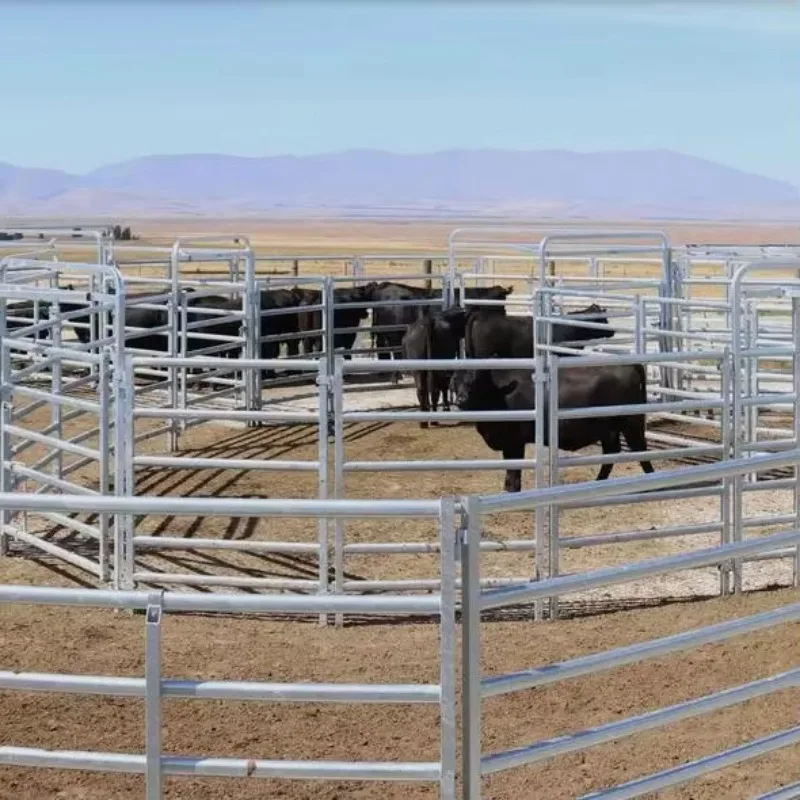 

Customized High Quality Factory Supply Farm Yard Livestock Cow Cattle Fence Panels