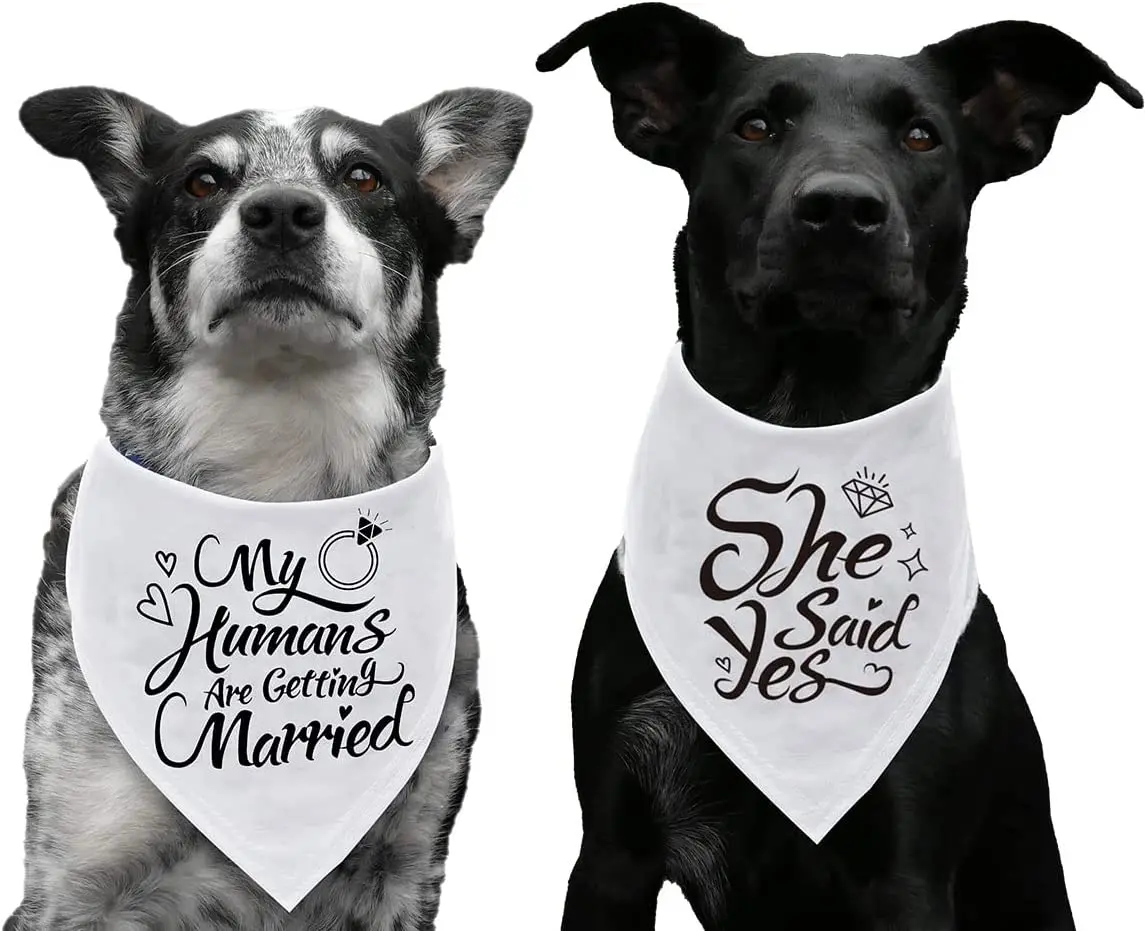 Verlobung geschenk, meine Menschen heiraten Hund Bandana, Hochzeit Foto Requisite, Haustier Schal.