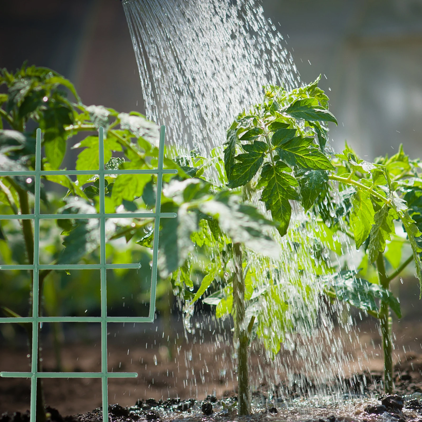 

20pcs Plant Support Frame T Shape Garden Trellis Flower Support Rack Durable Pp Plastic For Climbing Plants Garden Frame