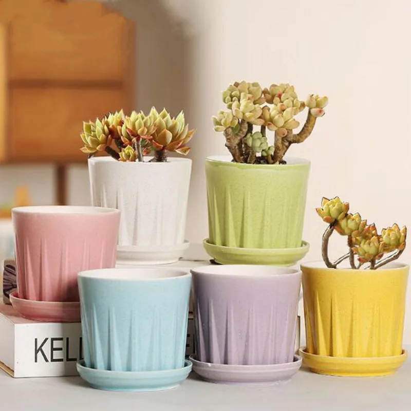 Porcelain Candy Color Succulent Plant Pot with A Tray Office Bonsai Vase Planter Desktop Ornaments Home Garden Decor