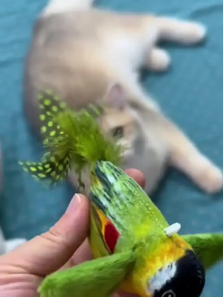 Giocattolo interattivo per uccelli in peluche per gatti, suono realistico, bastoncini di piume soffici artificiali, giocatore, gioco, caccia, divertimento