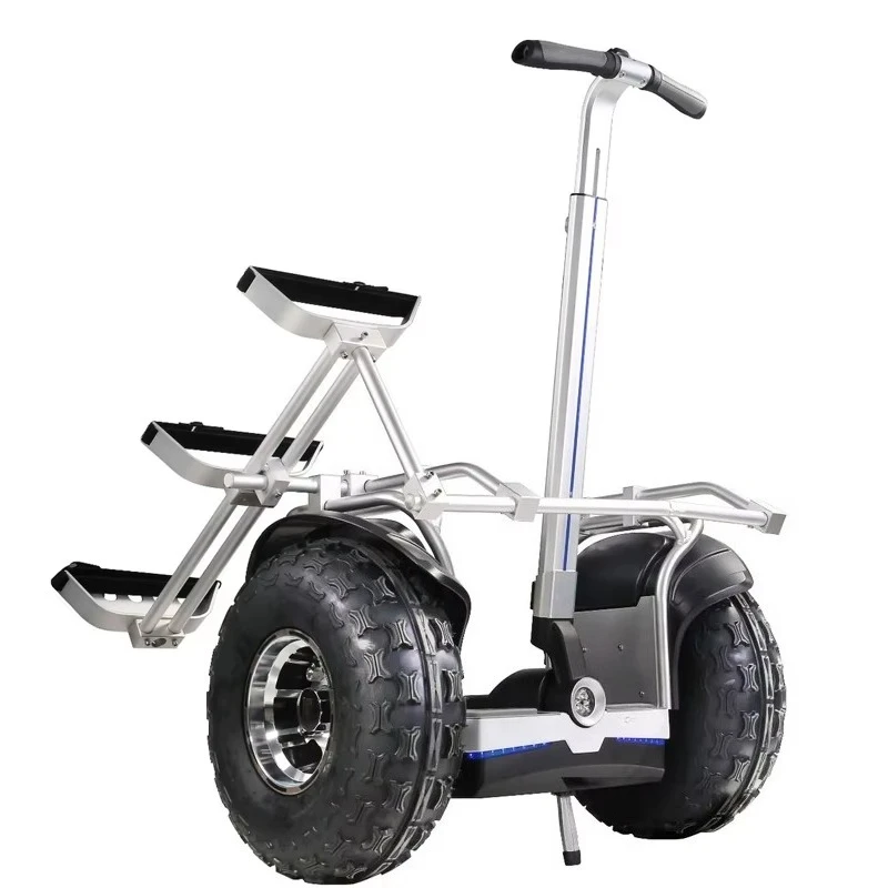 19 Inch GPS Remote Control Two-wheel Off-road Self-balancing Golf Electric Scooter for Outdoor