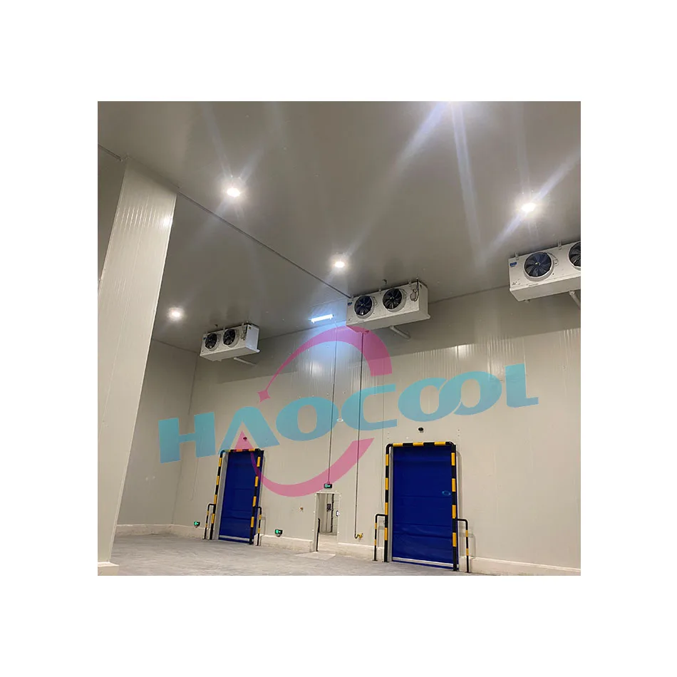 Attrezzatura industriale per celle frigorifere per celle frigorifere di qualità eccezionale