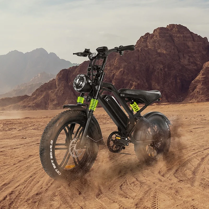 

STLF Fashion V20 Pro Factory Ships Popular 750w 500w Adult E-Bike for 2025