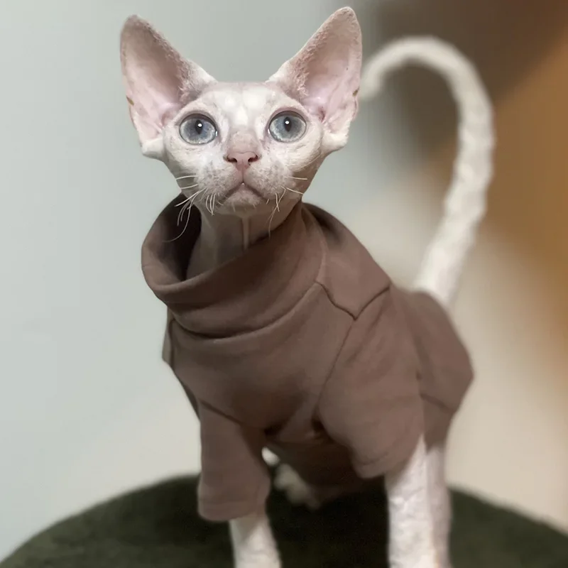 DUOMASUMI-Sphynx Cat Clothes, Baby-Fabric, Sphinx Bottoming Shirt, Hairless Cat Clothing, Pet Apparel, Cornish Devon Clothes