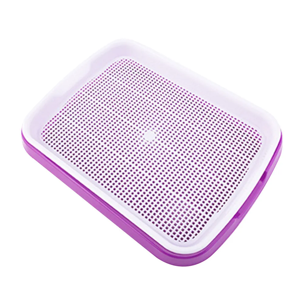 Planter Trays Plastic Growing Bean Sprouting Garden Flat Seedling Purple Indoor Planting Germination for Sprouts