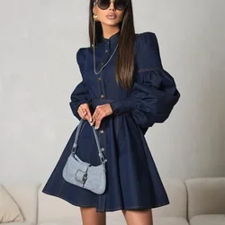 Autumn Winter Y2K Chic Female Long Lantern Sleeve Single Breasted Lace Up Pleated Dress Elegant Women Corset Denim Shirt Dress
