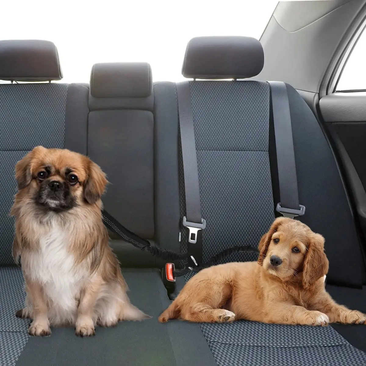 Double Lead Pet Car Safety Belt Adjustable Two Hook Car Seat Belt Pet Dogs Leash