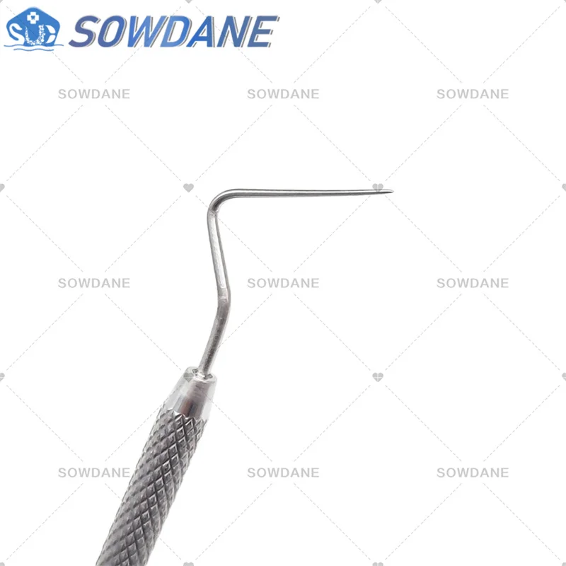 Dental Stainless Steel Endodontic Probe Explorer Flat/Tapered Instrument Tool Oral Care Teeth Whitening