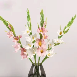 High Quality Artificial Flowers PU Gladioluses Garden Decorative Simulation Flower Orange Gladiolus Bedroom Decoration Florist