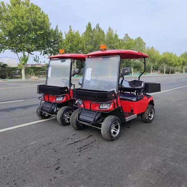 EEC Approved 2022 New Design Series 2-seater Lifted Electric Golf Cart With Box Electric Buggy