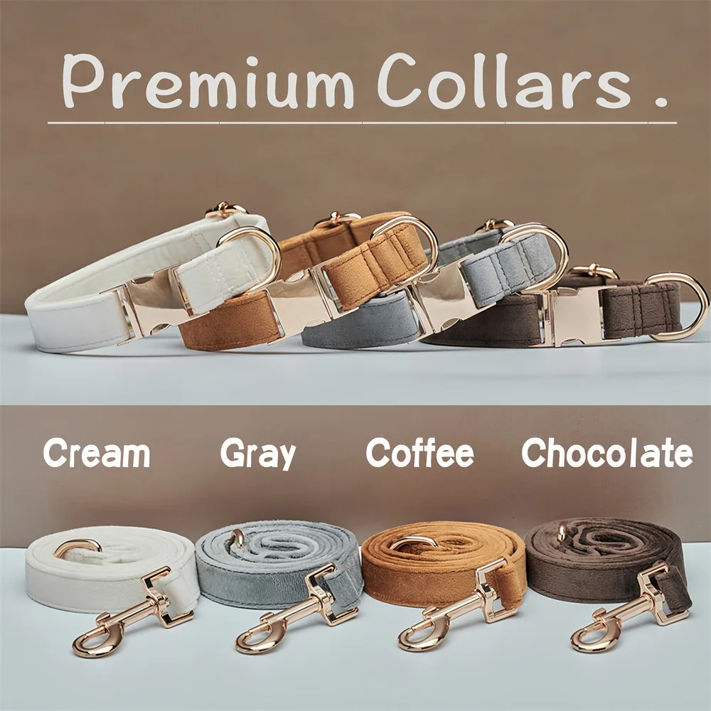 Collar para perro, anillo para el cuello de gato, conjunto de cuerda transpirable para perro, correa de tracción para perro Corgi, accesorios para mascotas con grabado y antideslizantes