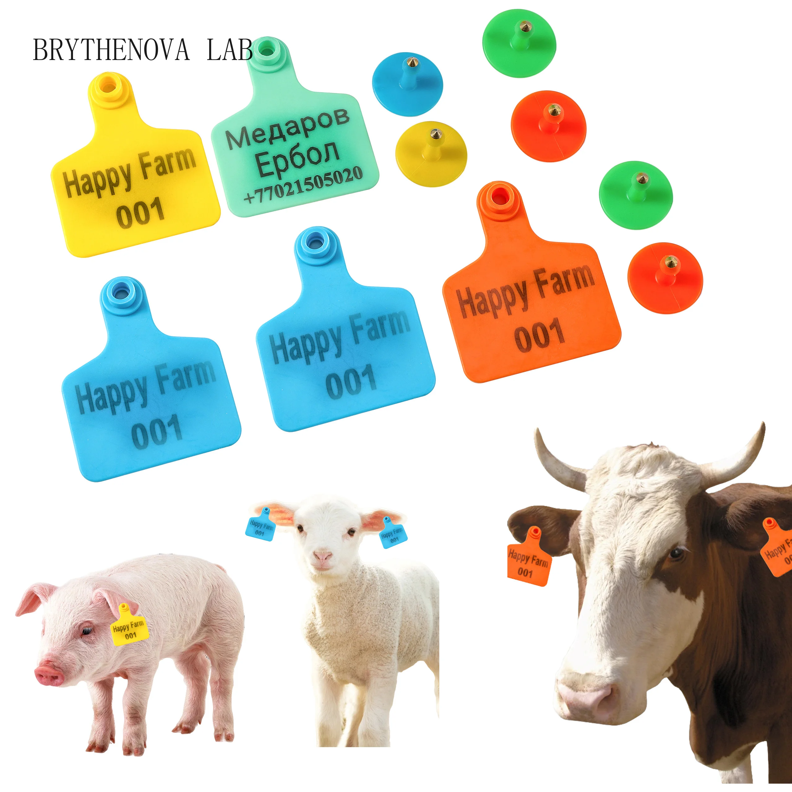 Livestock Ear Tag - 20pcs Livestock Ear Tag Animal Ear