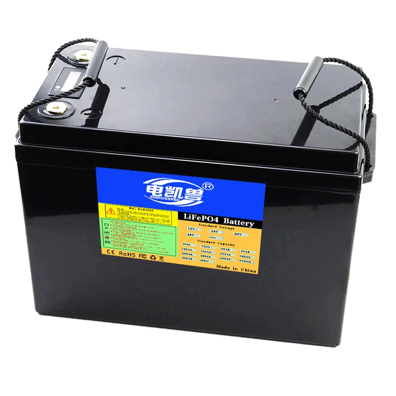 24v 100ah Lifepo4 battery pack 2500W motor High power For Electric Boat RV golf cart Forklift Solar storage BMS+29.2V10A Charger