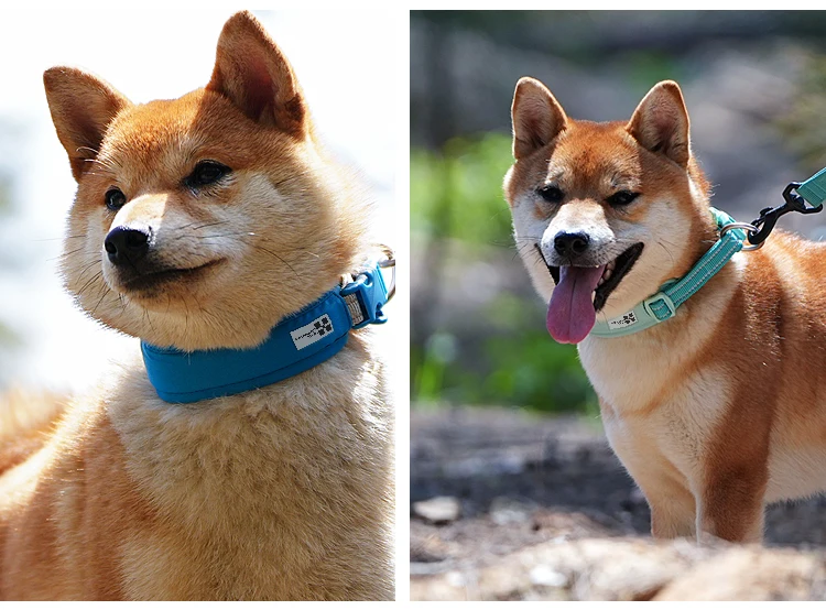 Personalized AirTag Dog Collar Adjustable Nylon Reflective Padded Pet Dog Collar for Small Medium Large Dog Accessories