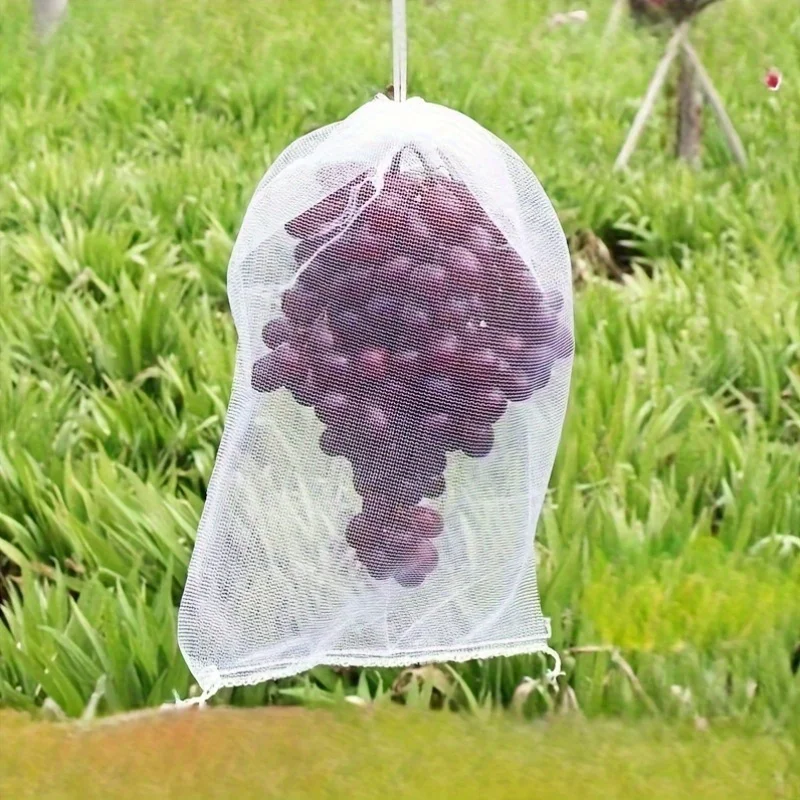 10/30/50 Fruit insect-proof net bags - Drying net bags and hanging bags, very suitable for vineyards and vegetable gardens