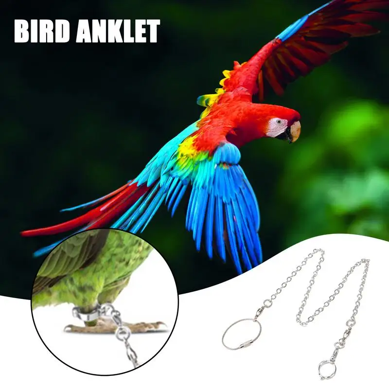 

Bird Foot Chain Outdoor Training Harness Rope Bird Foot Chain Parrot Anti flying Traction Straps Bird Feet Bracelet Alloy