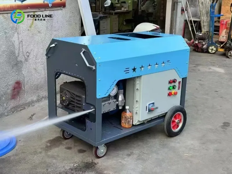 Customized High Power Cold Water Type High Pressure Washer for Quick Rinsing of Yards and Homes
