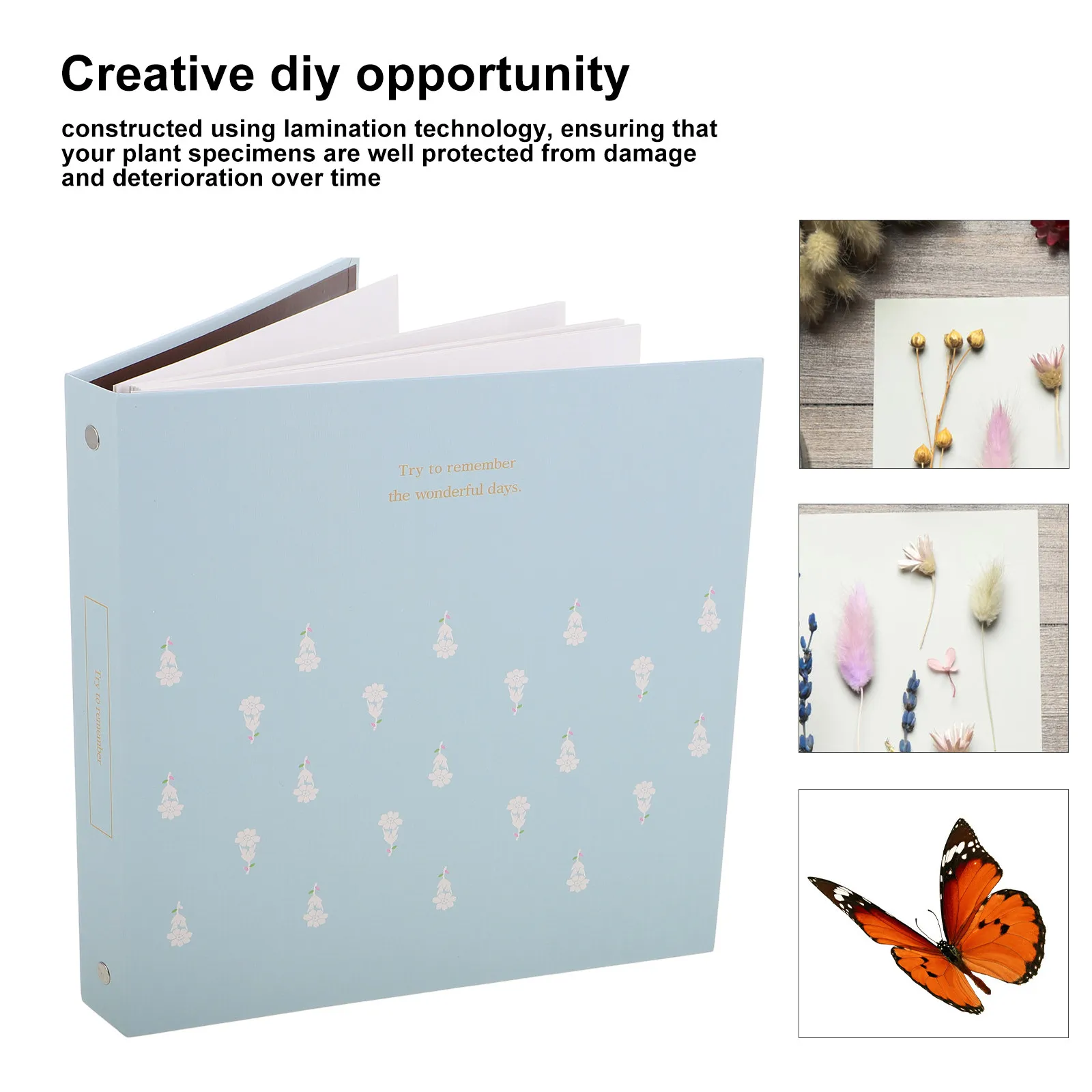 Botanical Specimen Album Lamination Plant Specimens Pressed Flowers Leaves Preservation Scrapbook Storage DIY Collecting Book