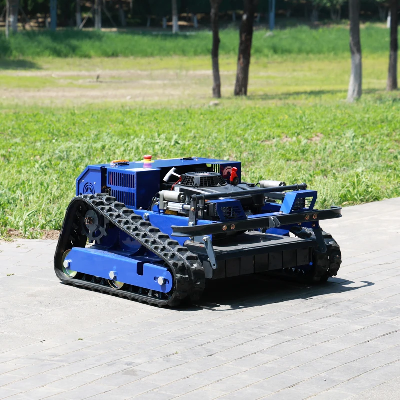 Customized Big Promotion Remot - đánh giá và giá Farming Zero