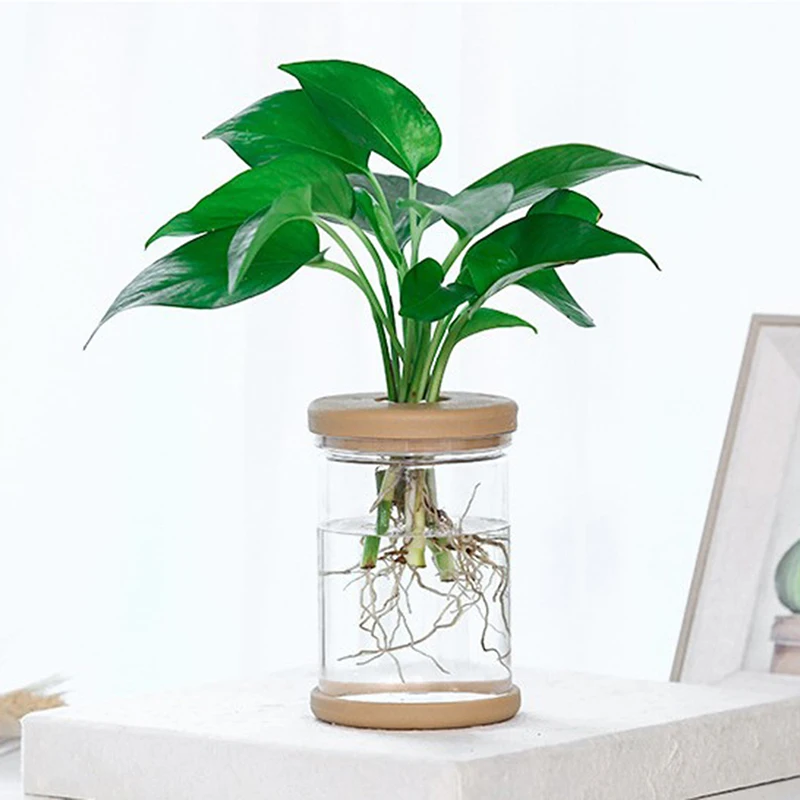 【Transparent Flower Pot Hydroponic Automatic Water Absorption Plastic Flower Pot】