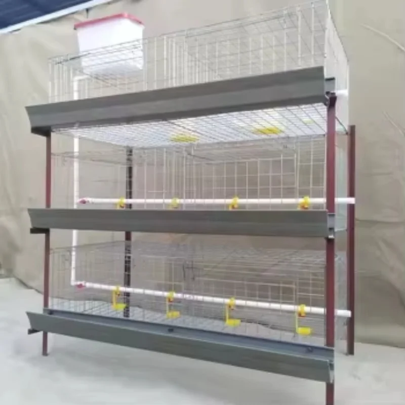 Equipment H-Type Poultry Broiler Cage 3 Floor 4 Floor Battery Chicken Cage Backyard Broiler Chicken Cage Design
