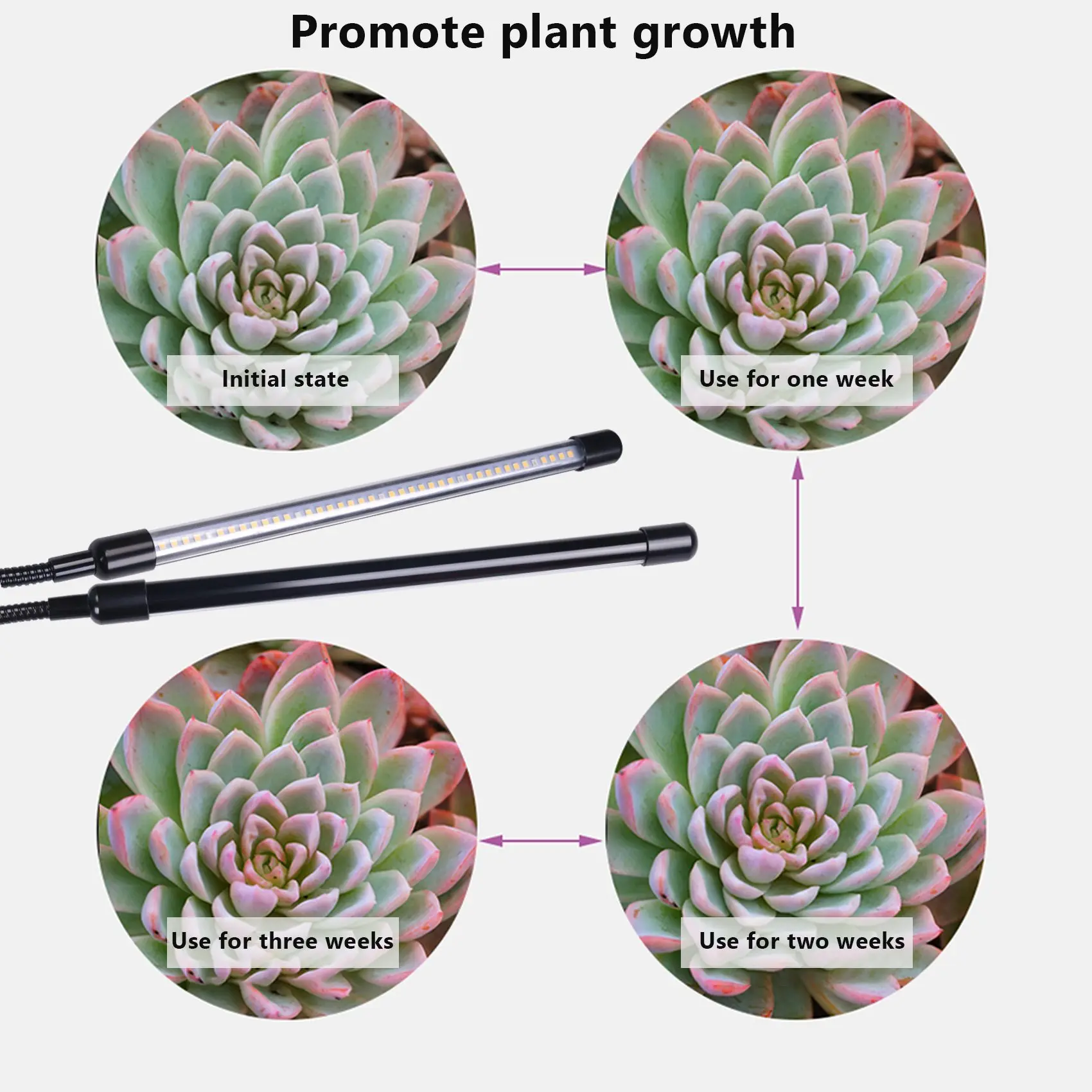 ABZV-USB LED 屋内成長ライト、40 ワットフルスペクトル植物ランプ太陽光白植物ハウス水耕栽培多肉植物成長ボックス