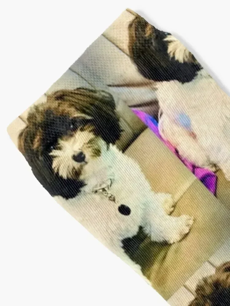 جوارب أوريو 2022 مضادة للانزلاق لكرة القدم والرياضة للعام الجديد لكرة السلة للفتيات للرجال