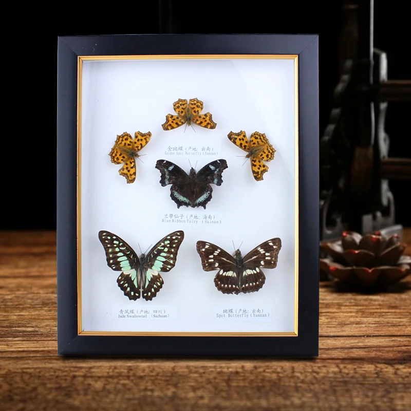 Real butterfly specimen photo frame 22 * 27cm handicraft ornaments collection Birthday wedding gifts home dec living room decor