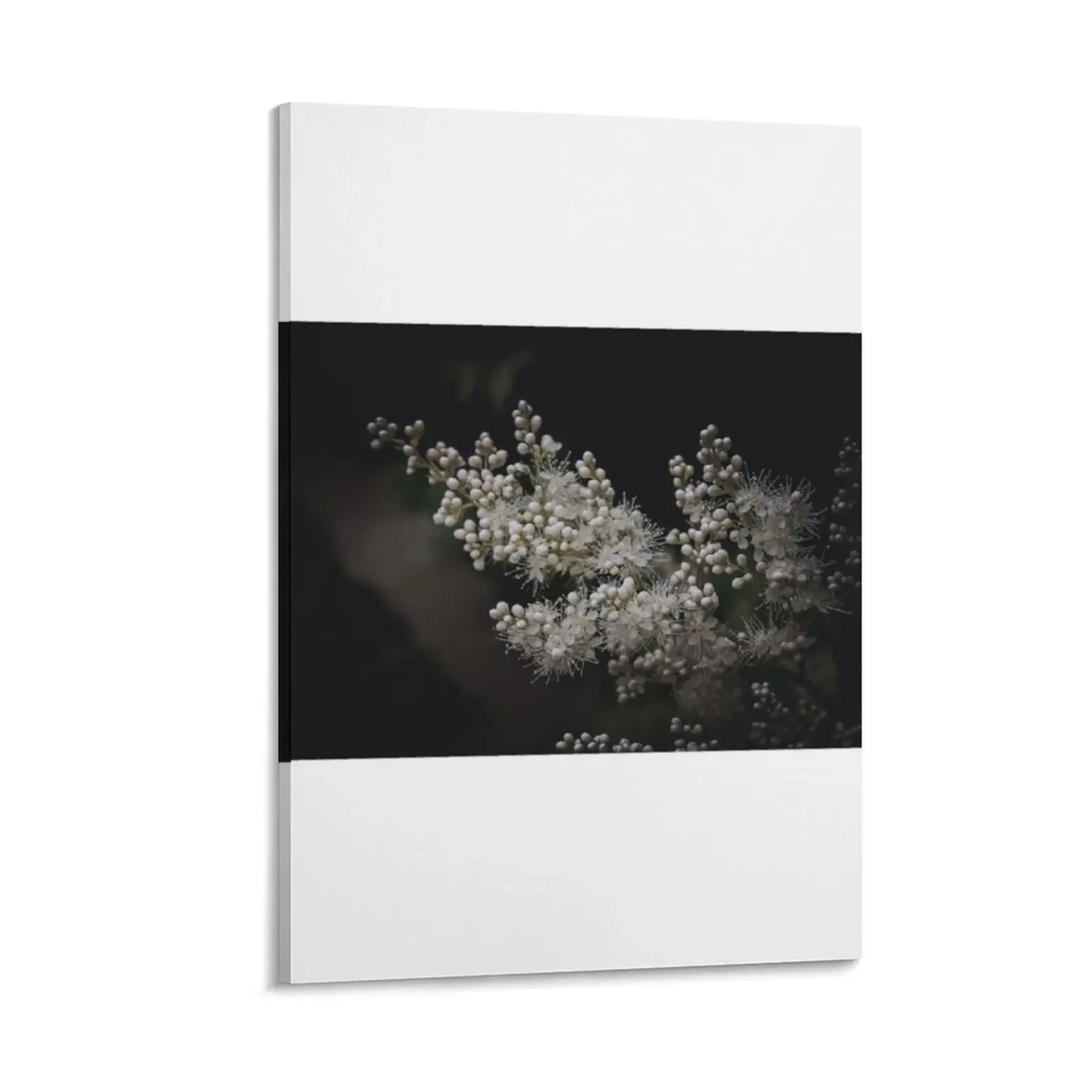 

White Flowers Canvas Painting decorative frames wall room room decorations room decoration painting