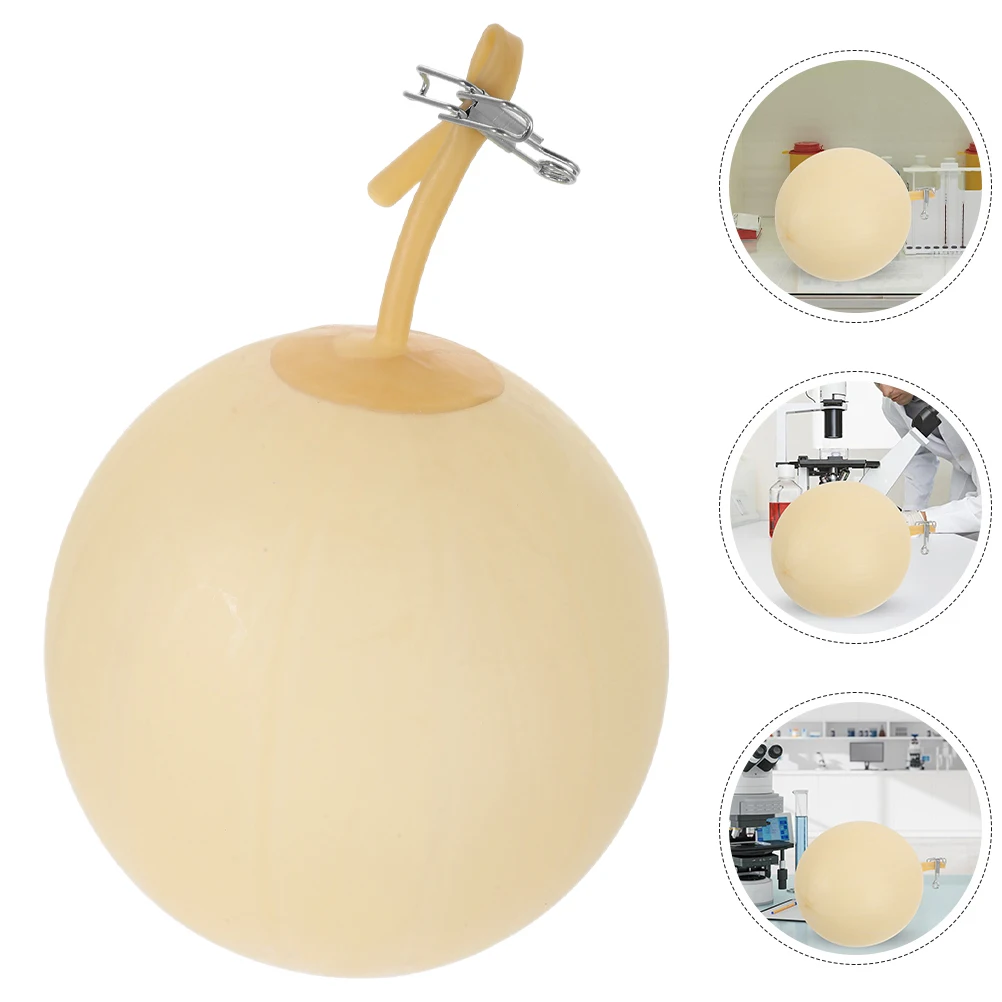

4pcs Gas Sampler Balloon Bladder Latex Laboratory Inflatable Tool for Efficient Gas Collection in Various Scenarios
