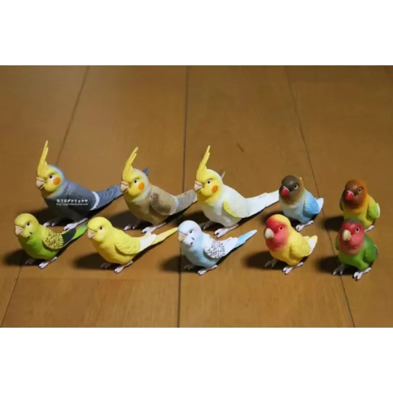SHINE-G Japan Gashapon Figure Cute Kawaii Parrot Lovely Life Miniature Figurine Anime Gachapon Capsule Toys Desktop Decor