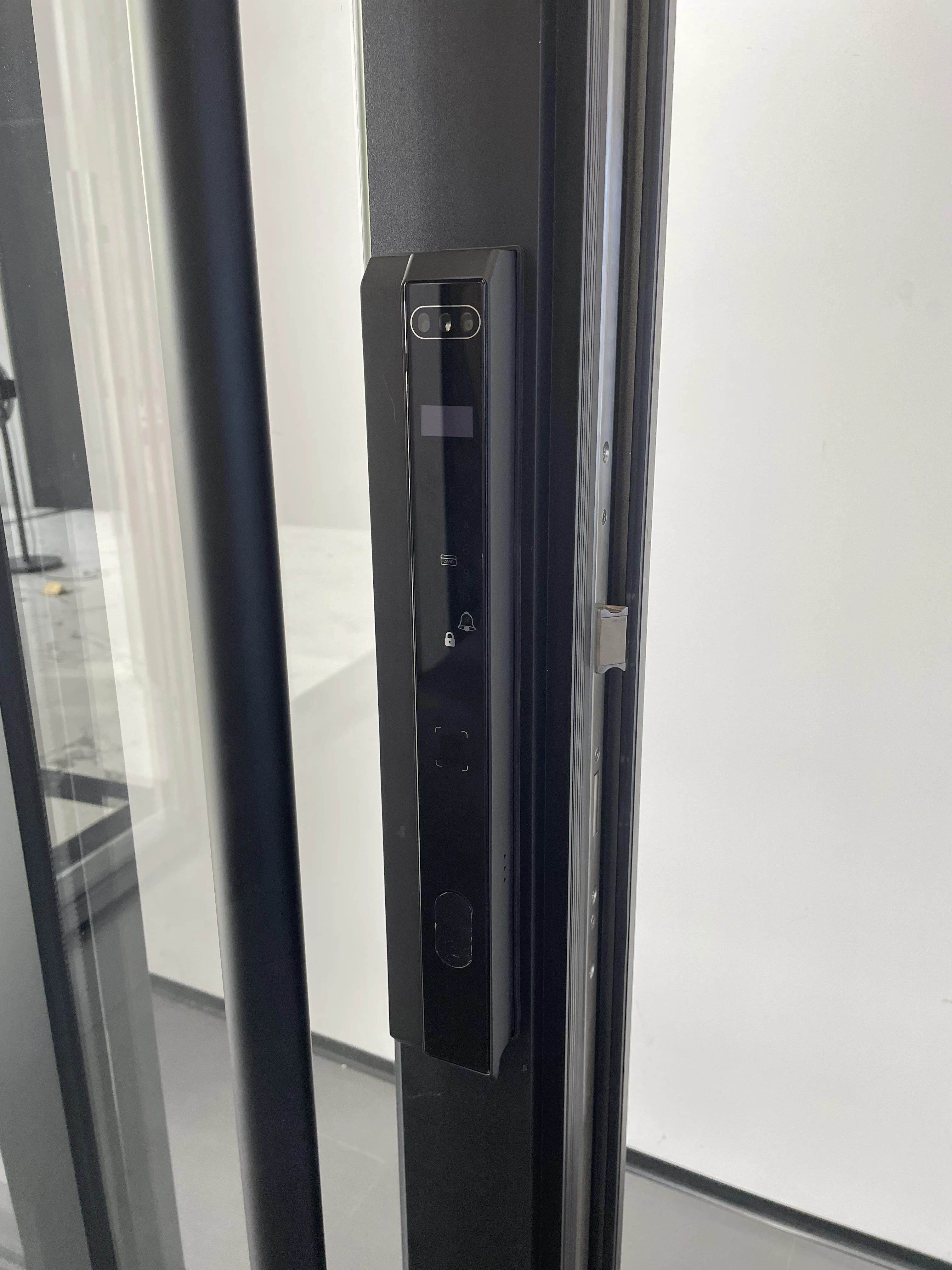 Sixinalu Pivot Door With Smart Lock Exterior Front Entry Doors Aluminum Double Glaszed Push Pull Rotating Dooe Home Decor Custom