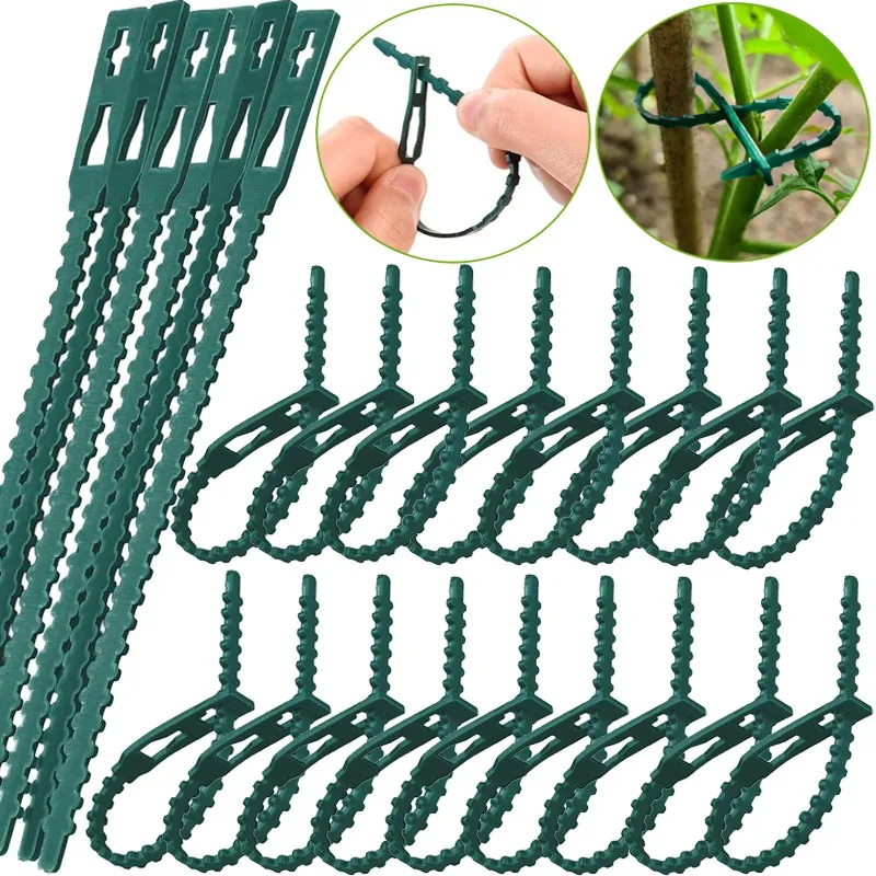 Adjustable Plant Cable Ties Reusable Self-locking Ties Plant Vine Tree Shrubs Support Plant Fastener Clips Organizer Tools