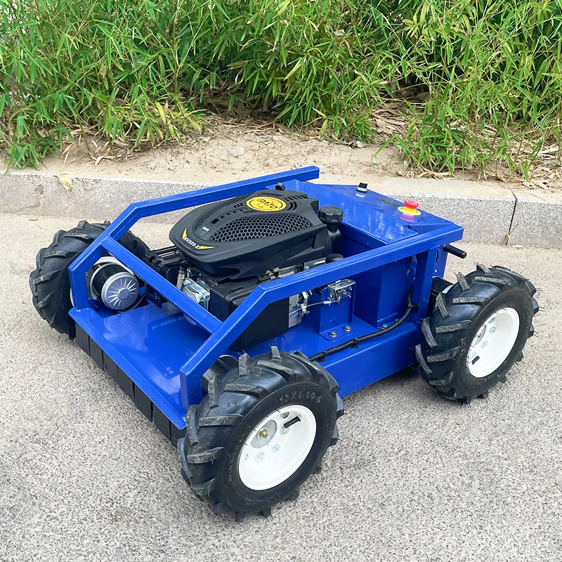 Customized Remote C… - image