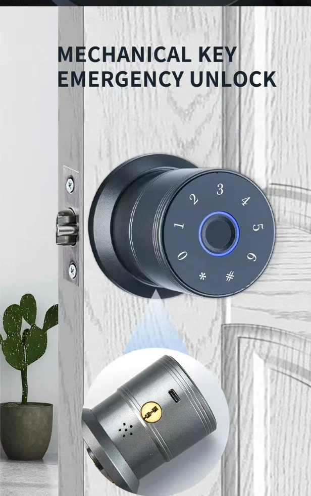 Smart Door Knob with Keypad, Smart Door Lock Fingerprint Door Lock with Keypad, App Control, Great Door Lock for Bedrooms,Cloak