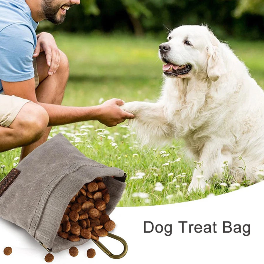 Bolsa de entrenamiento para perros portátil resistente con premios - imagen 3