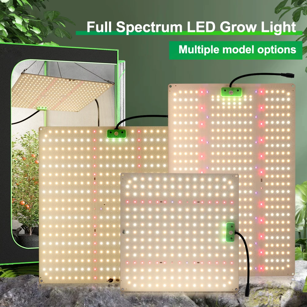 LED-Pflanzenlampen für Zimmerpflanzen Vollspektrum-Pflanzenwachstumslampen mit unabhängigem Schalter Zwei Betriebsmodi VEG&Bloom