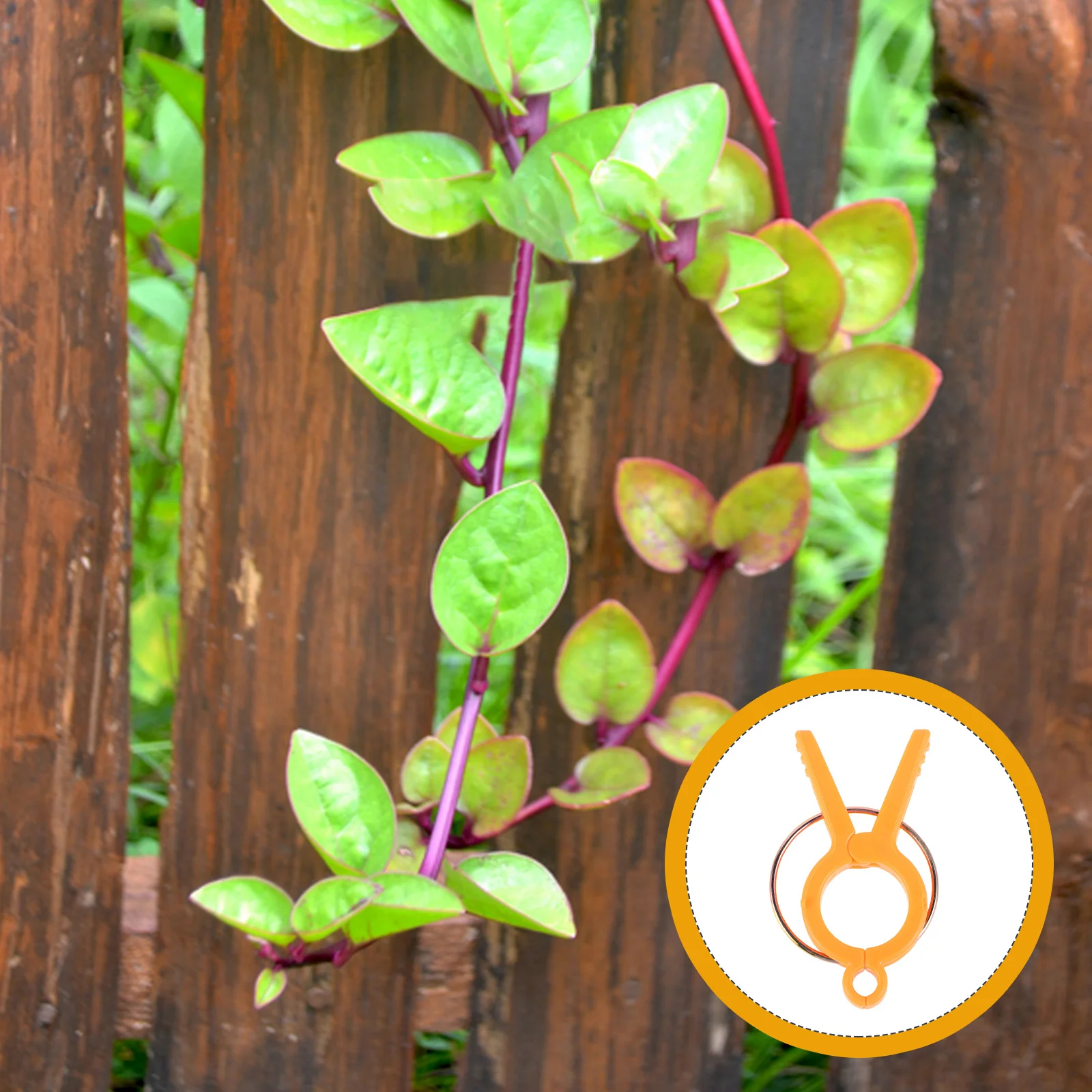 

12Pcs Tomato Vine Clamp Reinforcement Plants Reduce Weight Load Stems Branches Plant Clip Plant Grafting Clip Phalaenopsis Clips