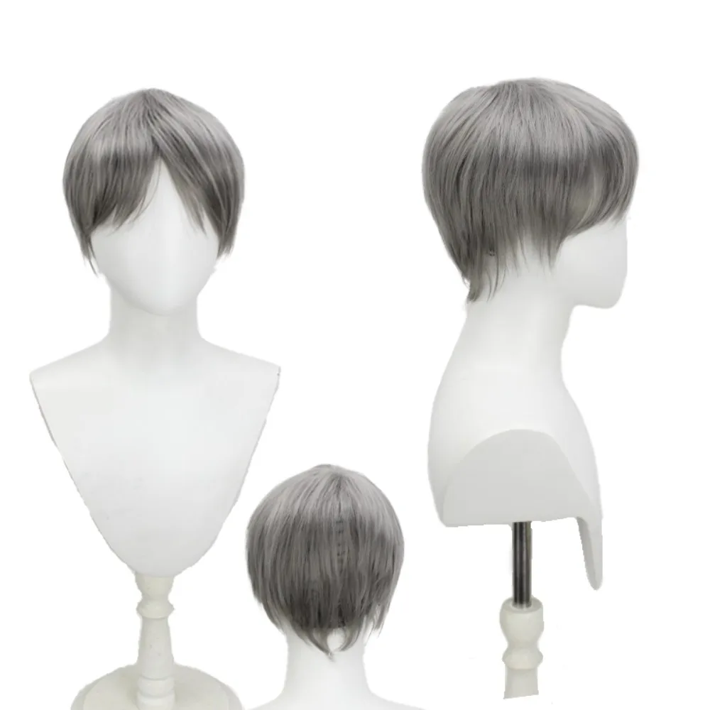 

PA 4 Yu Narukami Gray Anime Cosplay Wig Protagonist Hair